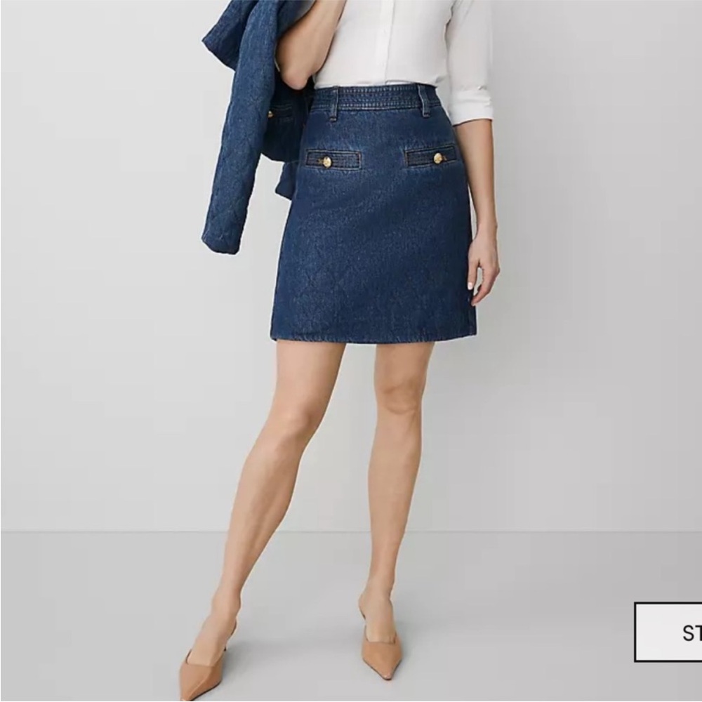 Ann Taylor Blue Mini Skirt | denim skirt